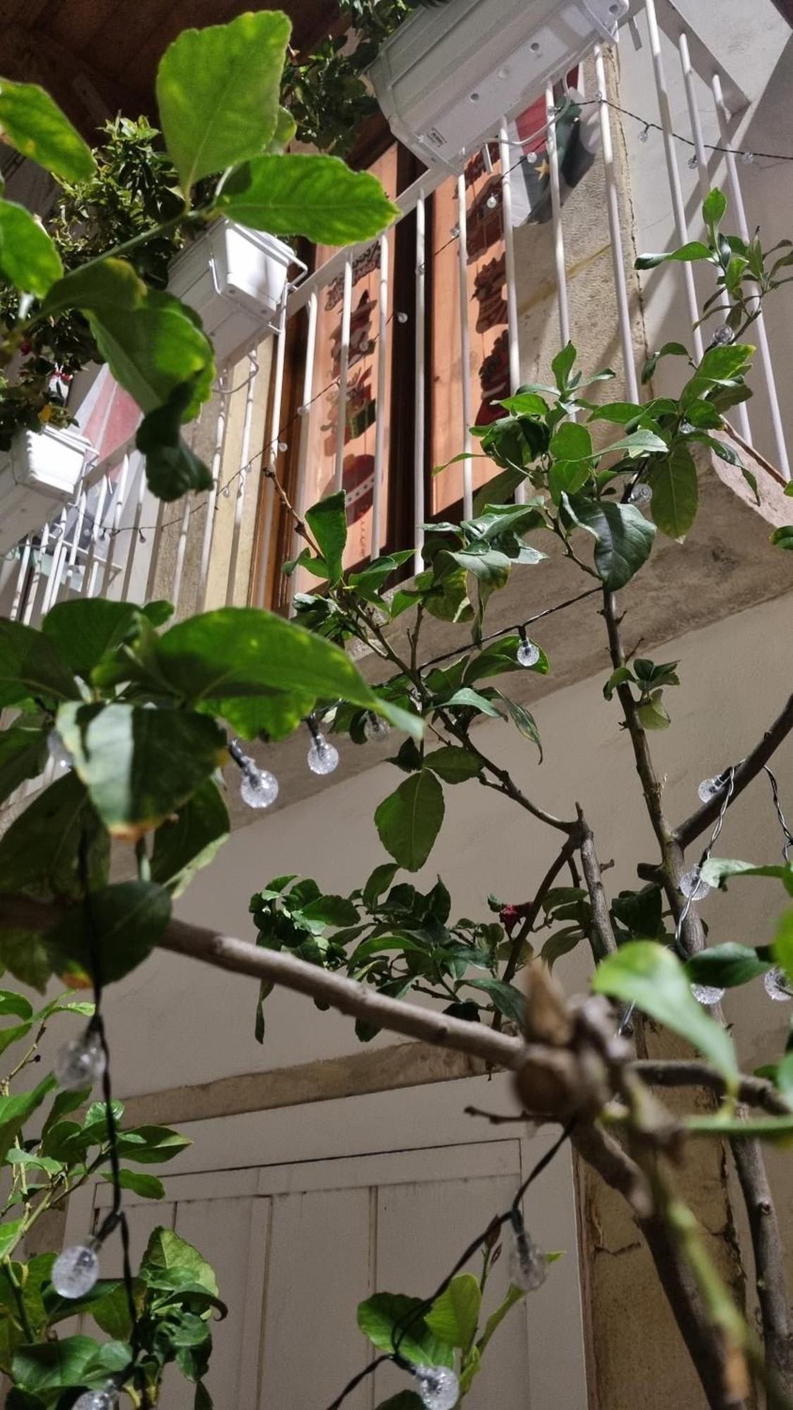 In Parva Domus Apartment Bitonto Luaran gambar